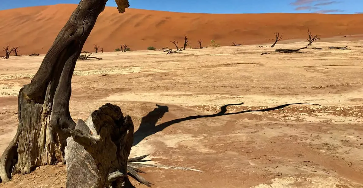 Big Daddy dune above the Deadvlei pan on a Sossusvlei and Sandwich Harbour Namib Desert tour, Namibia