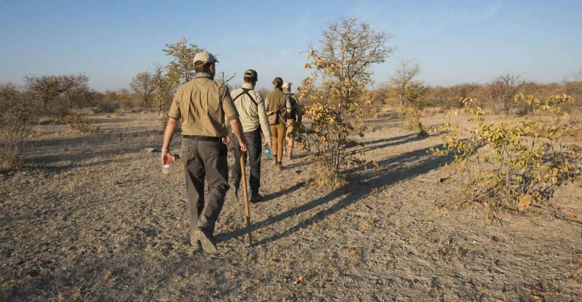 A safari vehicle on the pan edge on a one-day Etosha National Park tour from Windhoek, Namibia
