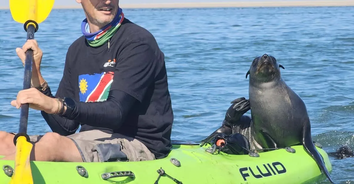 Kayakers paddling beside Cape fur seals before a Sandwich Harbour dune drive, Namib Desert coast, Namibia